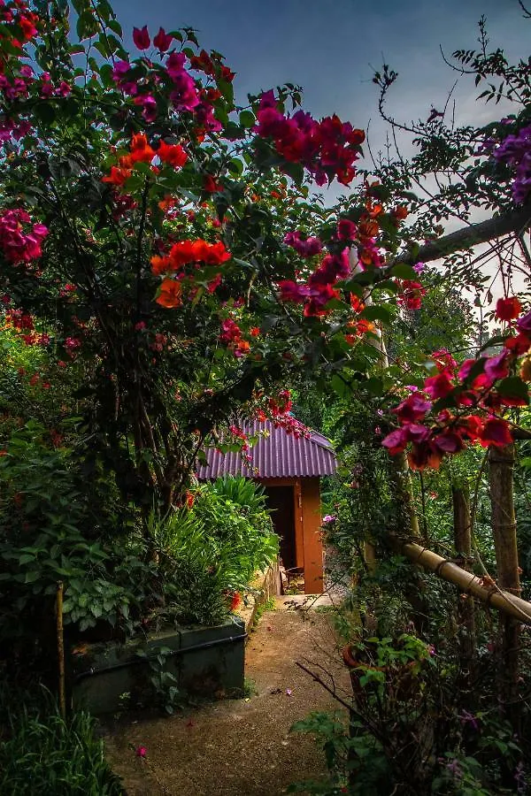 Ecotones Munnar By Eden Environs Hotel India
